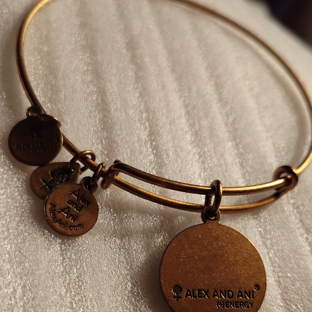 2013 Alex And Ani "If It's Meant To Be" Bangle Charm Bracelet EUC - Picture 2 of 2